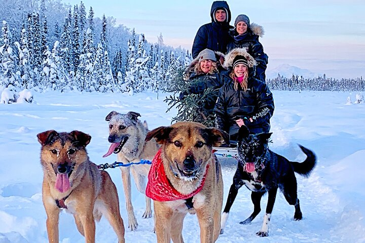 Dog Sledding Adventure in Willow, Alaska - Photo 1 of 11